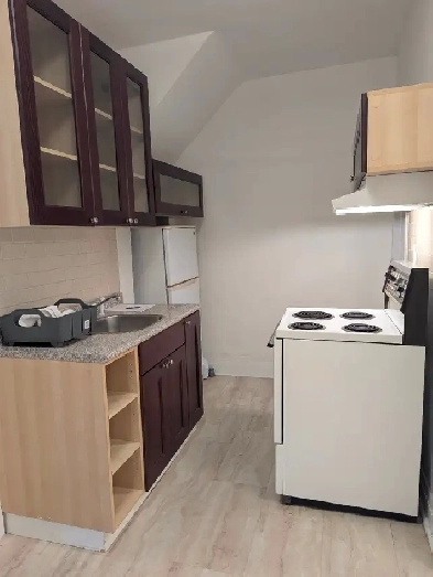 Annex/Mirvish Village 1BDRM Den close to transit, UofT Image# 1