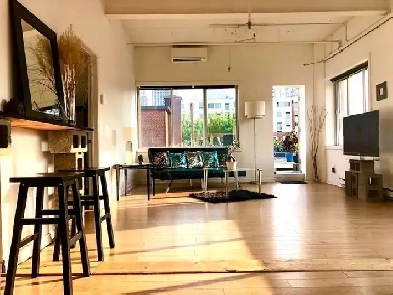 Furnished penthouse loft with private roof top terrace Image# 1