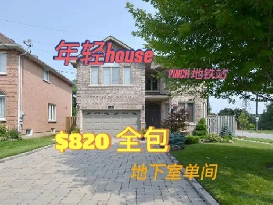 Near Finch Station Basement Room for rent -$800 Image# 1