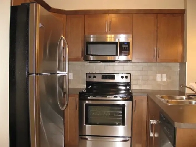 Cozy and Very nice One Bedroom Apartment for Rent Image# 1