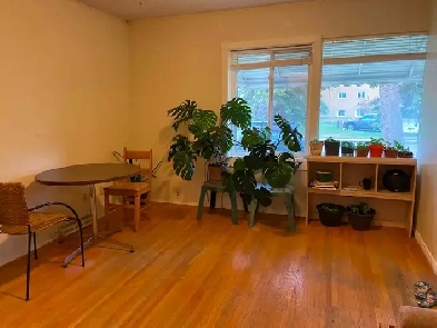 University Brentwood c-train Mall close downtown one bedroom Image# 1