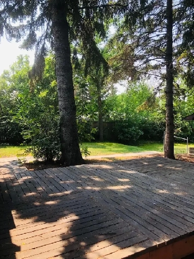 3-Bedroom House in Varsity– Near U of C, LRT & Market mall Image# 1