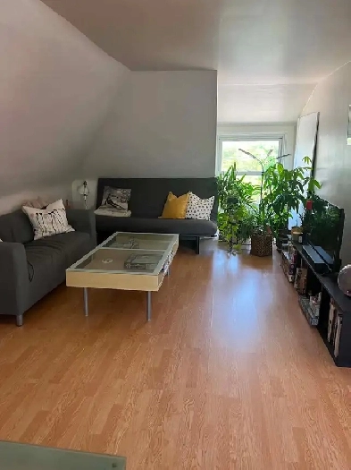 Bright One-Bedroom apartment for rent in Sandy Hill Image# 1