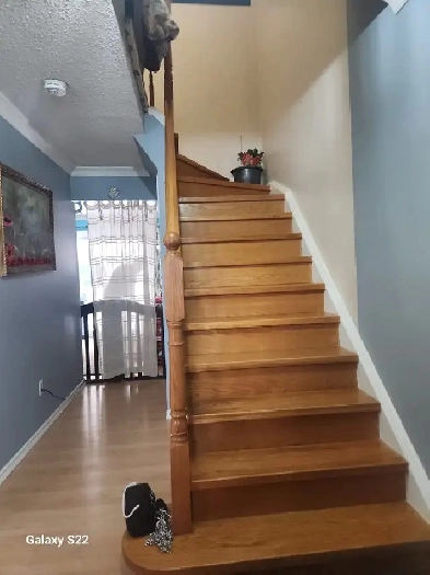 Room For Rent@ Warden and Sheppard Ave Image# 1