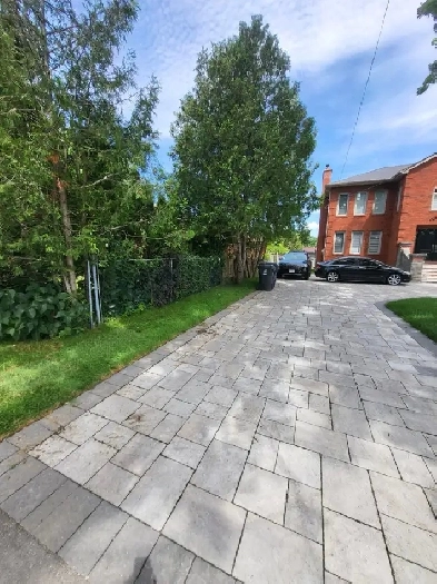 1 BR walkout basement apartment in Scarborough Image# 1