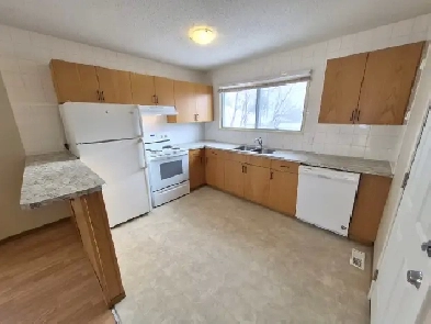 Renod 1200 sf 3BR/1.5BA Mn Flr-private yard/in-suite Lndry/PetOK Image# 1