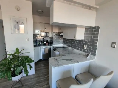 Beau 3.5 en hauteur avec balcon Apartment for Rent - 1010 Cherri Image# 1