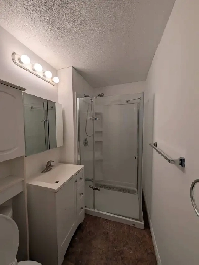 ONE BEDROOM BASEMENT FOR RENT - SCARBOROUGH Image# 1