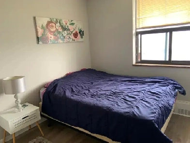 Room for Rent in Scarborough-Bright, Cozy, and Convenient Image# 1