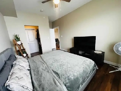 1 Bedroom 1 Bathroom Apartment – Lease Takeover in Ellerslie Image# 1