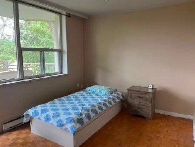 Room for Rent close to University of Toronto,Centennial College Image# 1