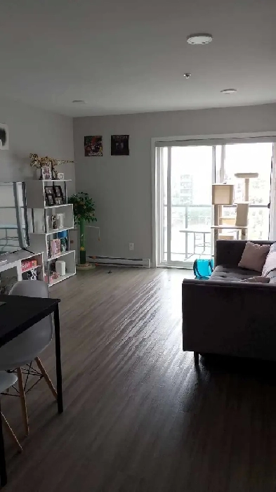 Lease Takeover Opportunity Image# 1