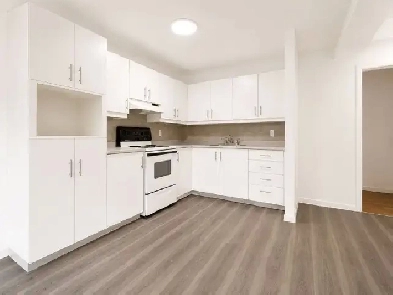 1 CH - 1 SDB - Montréal - $1,340 /mo Image# 1