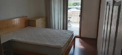 Master & Com Room for rent cls UoC Brentwood/dalhousie C train Image# 1
