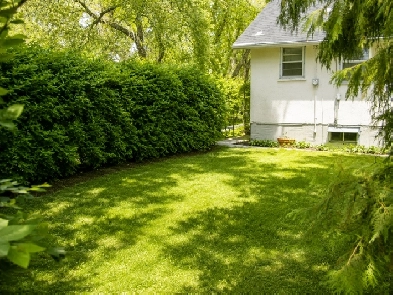 Character Home in Norwood Flats | Pet Friendly | $1,500/month Image# 1