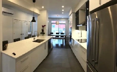 Super bel appart , grand 4 1/2 reconstruit en 2019-open concept Image# 1