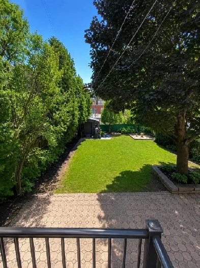 À louer  4 ½ - Rosemont Montréal - 1750$ Image# 1
