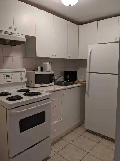 Large One Bedroom Apartment with a Loft in Downtown Toronto Image# 1