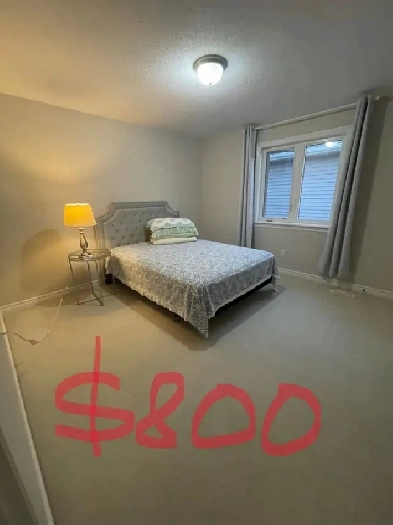 3 Rooms Available in Riverside South / Summerhill – $800–$1,000 Image# 1