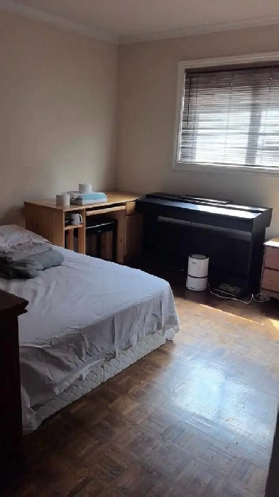 Short-term rental $50 per night in North York Image# 1