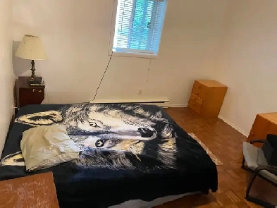 Chambre à louer Image# 1