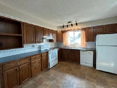 Renod 3BR MnFlr w/new hardwood/own fencd backyrd/nwr wndws/PetOK Image# 1
