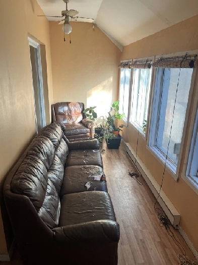 7.5 Apartment for Lease Transfer (lots of light   solarium) Image# 1