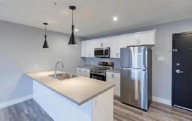 ✨Modern 1-Bedroom & 1-Bathroom Image# 1