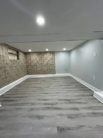 Spacious Newly Renovated 1-Bedroom Basement Suite for Rent Image# 1