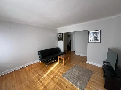 Studio Apartment in Ottawa East (Vanier) Image# 1