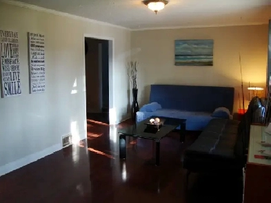 One basement room available for rent in a house near UTSC Image# 1