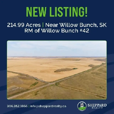 214.99 Acres | RM of Willow Bunch #42 | Willow Bunch, SK Area Image# 1