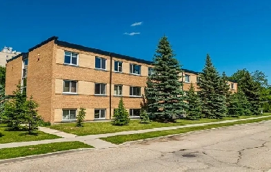 Spacious 1 Bedroom Suite in North Kildonan Image# 1