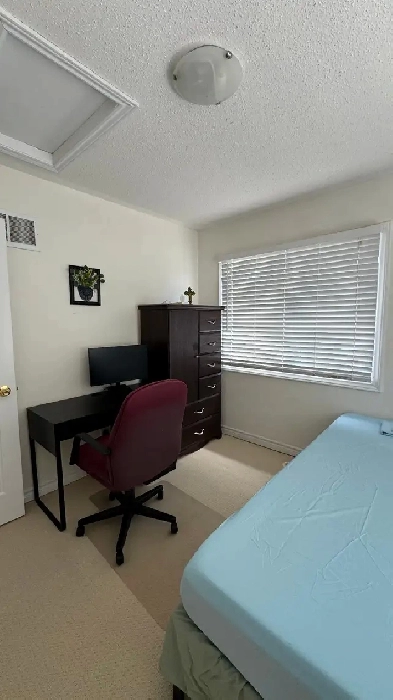 FURNISHED ROOM FOR RENT - Sheppard Ave East and Markham Road Image# 1