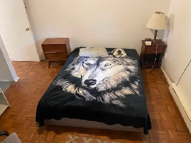 Grande chambre à louer Image# 1