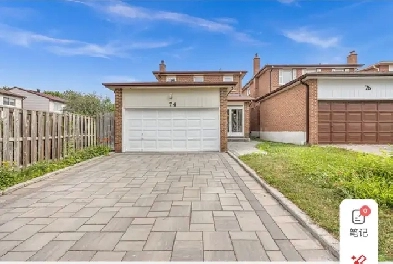 Beautiful Basement Apartment for Rent at Steeles/Middlefield Image# 1