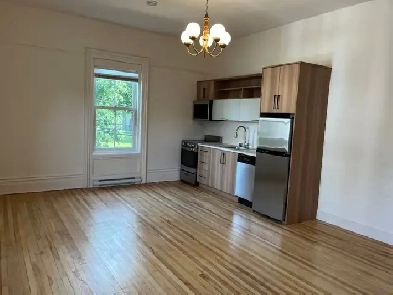 Gorgeous 1 bdr available.  Downtown, all utilities included! Image# 1