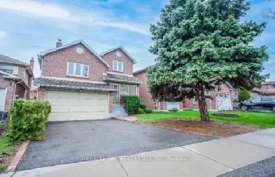1 1 bedroom basement in Scarborough Image# 1