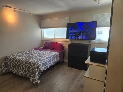 Premium Suite - ensuite Jacuzzi , HOT TUB, 55' LED 4K TV Image# 1