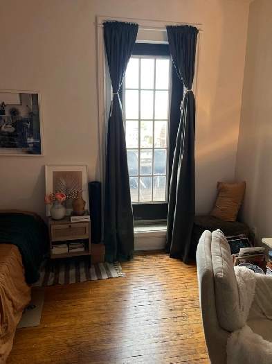 Character Room with Rooftop Patio Access — $764.03 — Nov 1 Image# 1