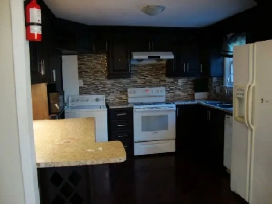 One basement room available for rent in a house near UTSC Image# 1